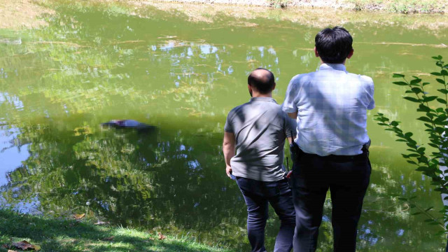 Porsuk Çayı’ndan ceset çıktı
