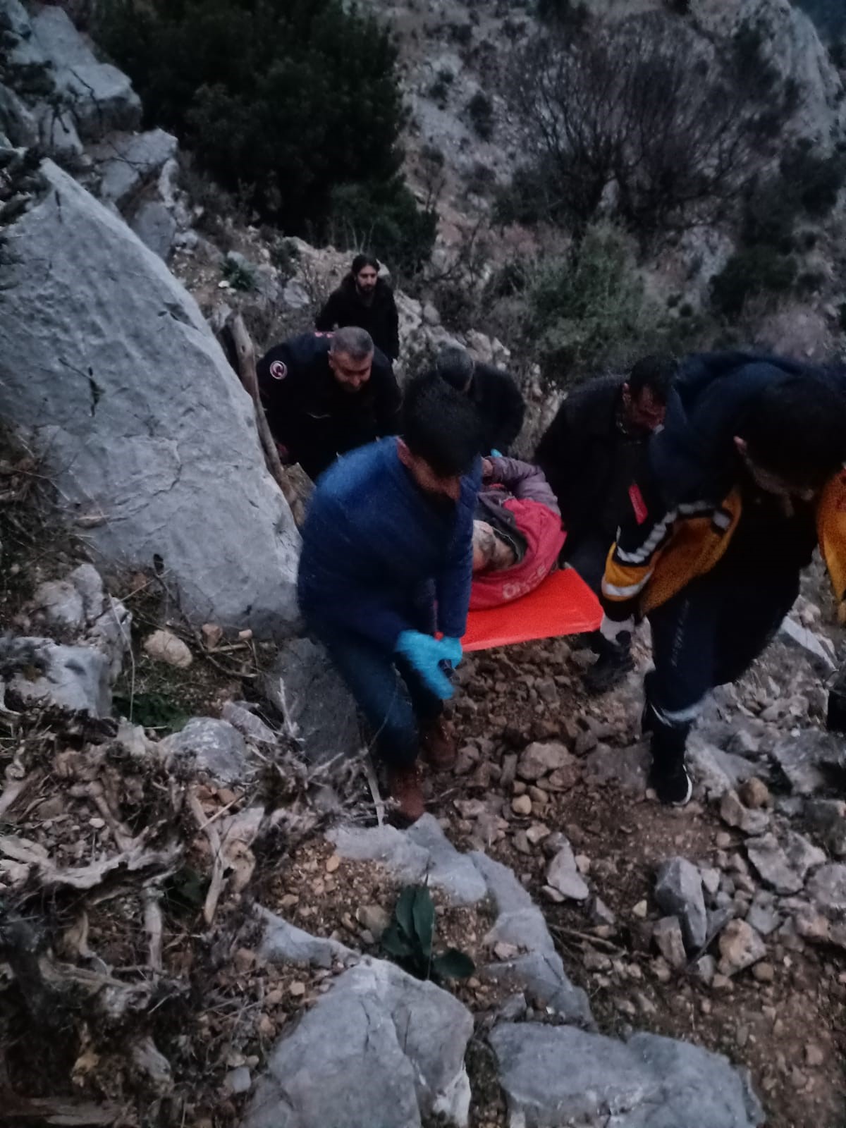 Dal kesmek için çıktığı ağaçta kalp krizi geçirerek hayatını kaybetti
