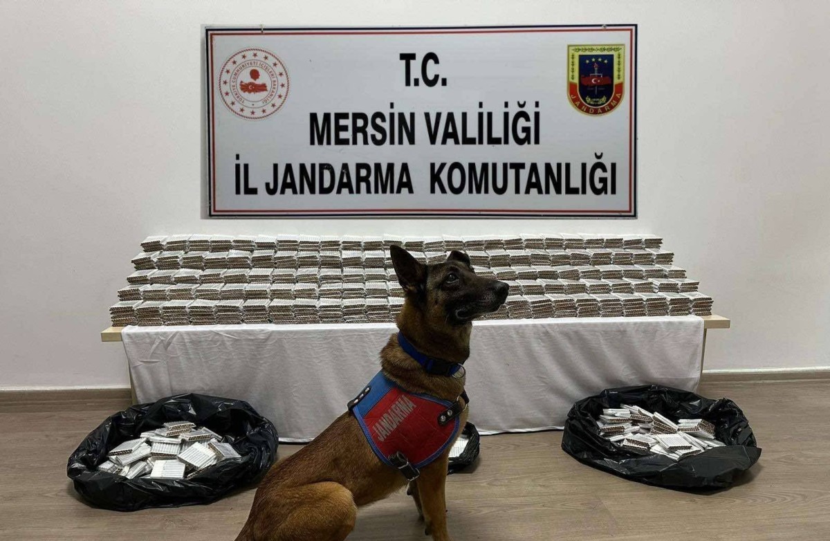 Mersin'de gümrük kaçağı 61 bin 700 adet makaron ele geçirildi