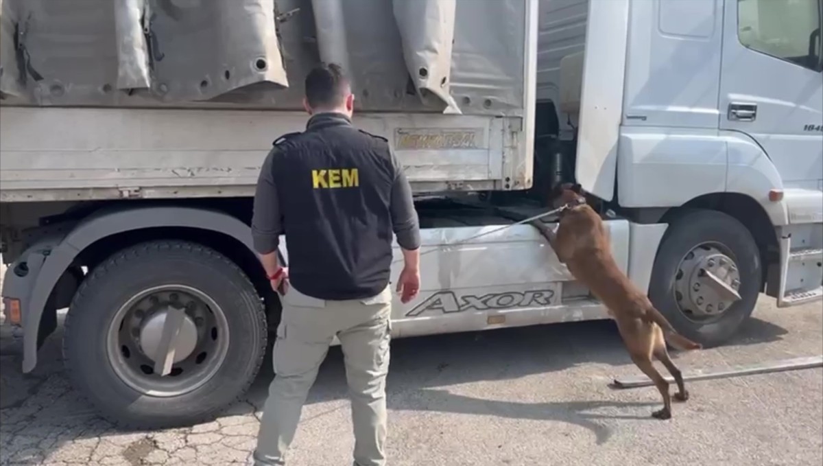 100 kilogram esrar ele geçirildi