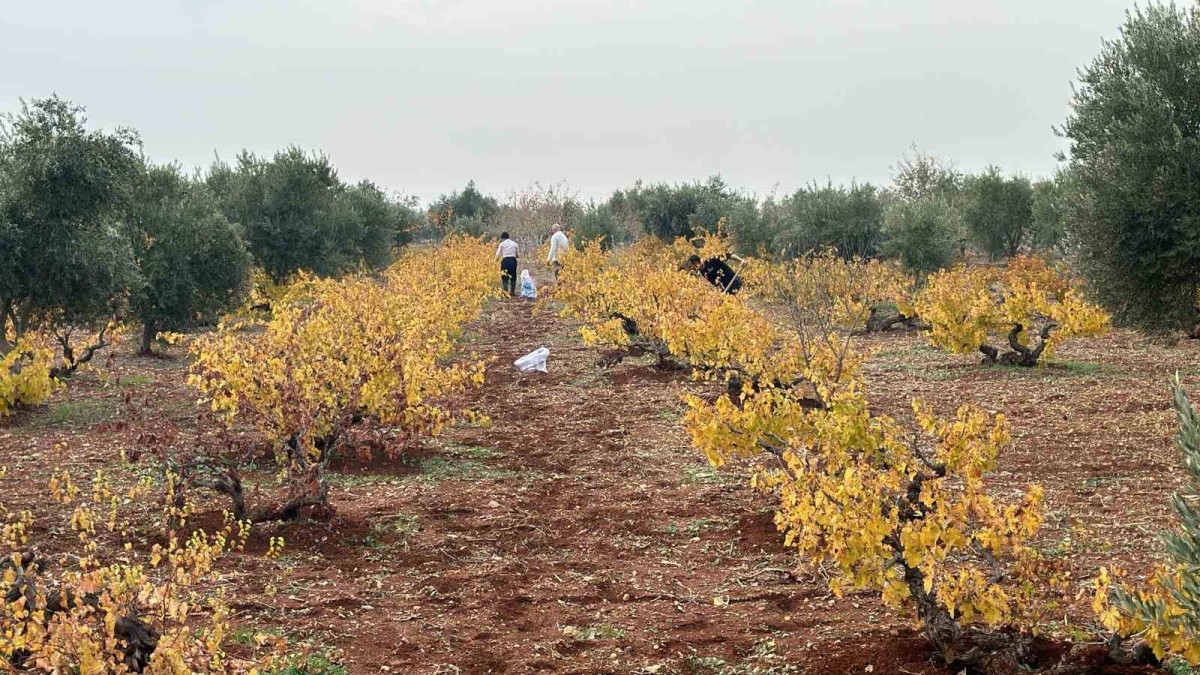 Tarımsal proje desteğe değer görüldü
