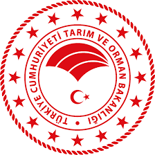 Görevlisine saldırı