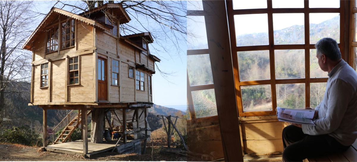 150 YILLIK AĞACIN GÖVDESİNE 2+1 EV YAPTI