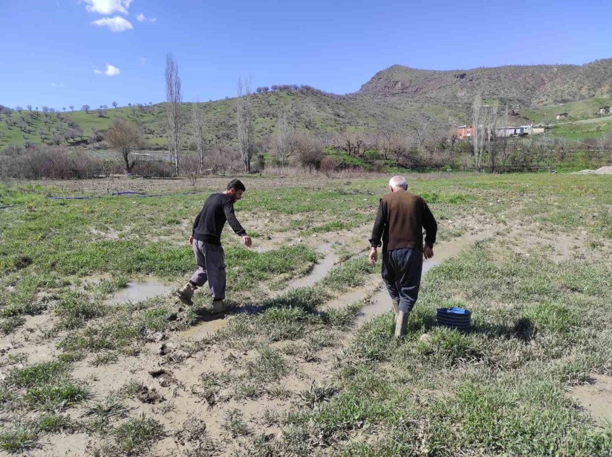 Sason’da şiddetli yağış sonrası dere taştı, çilek bahçesi su altında kaldı