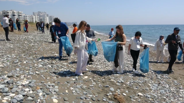 Caretta carettaların yuvalama alanları temizlendi