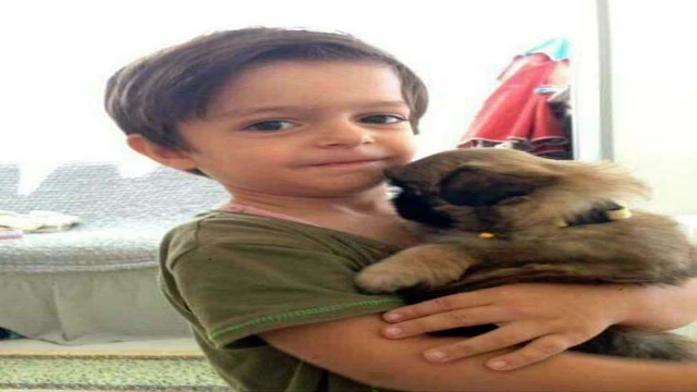 Alperen'in serviste öldüğü davada yeni karar; okul müdürünün cezası arttı