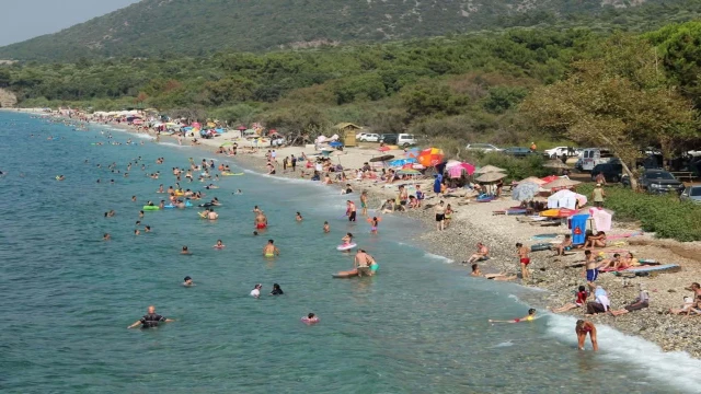 Aydın'da çevrecilerden Milli Park'a girişler sınırlandırılsın talebi
