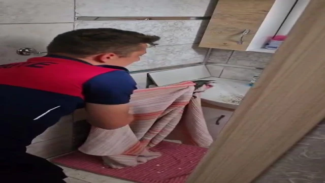 Banyoda mahsur kalan karga kurtarıldı