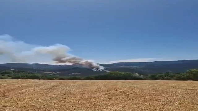 Bolu'da orman yangını