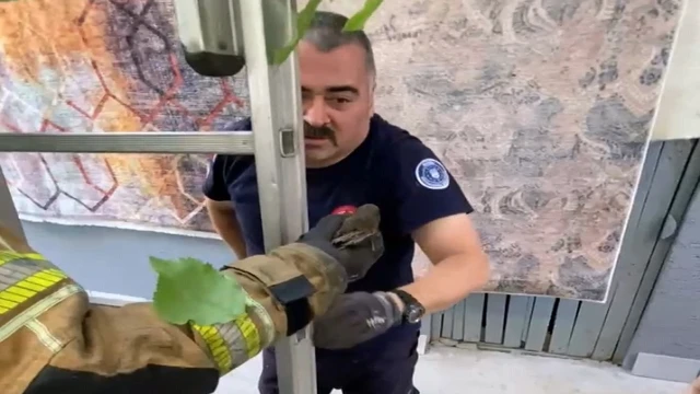 Bursa’da çatıya sıkışan ebabil kuşunu itfaiye görevlisi kurtardı