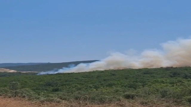 Bursa'da orman yangını; helikopterle müdahale ediyor