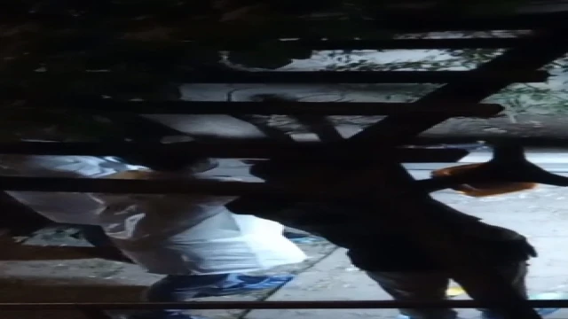 Esenyurt'ta tekele uzun namlulu silahla saldırı: 1 şüpheli yakalandı