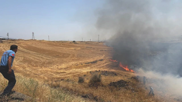 Gaziantep’te anız yangını; 300 dönüm alanda etkili oldu