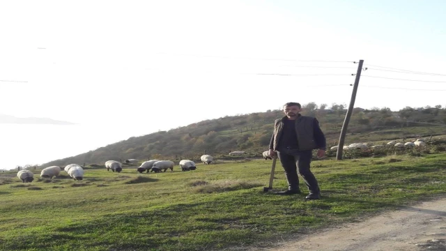 Gümüşhane'de kenenin ısırdığı çoban öldü