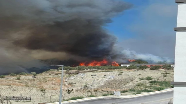 Hatay'da orman yangını