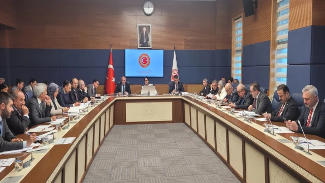 İnsan Hakları İnceleme Komisyonu'nda 5 alt komisyon kuruldu