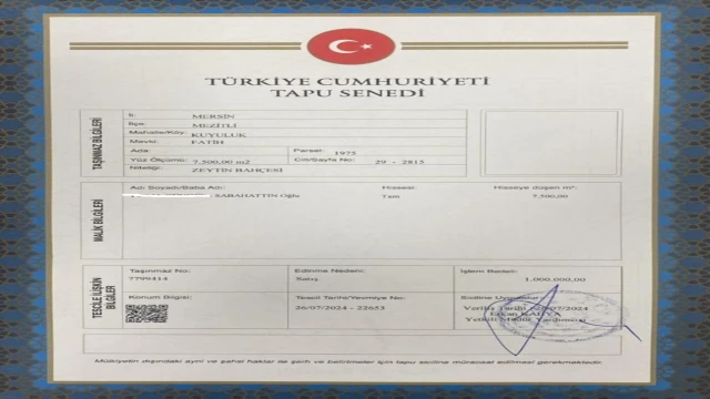 İşte belge, tapuda zeytin, imarda villalık