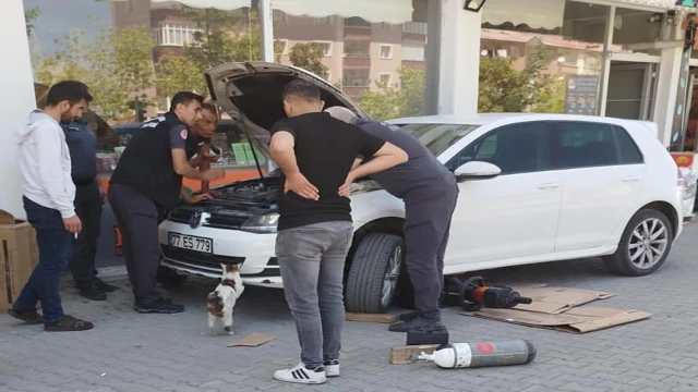 Kedi, otomobilin motor kısmında mahsur kalan 4 yavrusunun kurtarılmasını bekledi