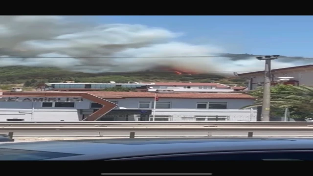 Kocaeli'de makilik yangını