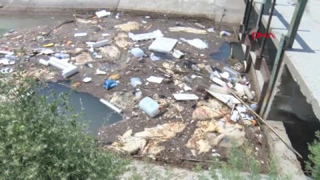 Kurban atıkları kanallara atıldı; kötü görüntü ve koku sağlığı tehdit ediyor