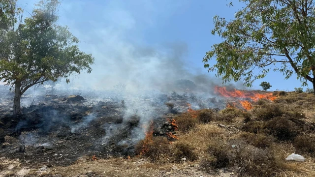 Muğla'da maki yangını