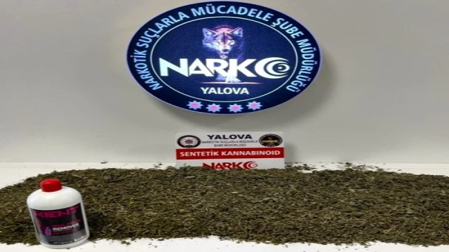 Yalova'da uyuşturucu operasyonunda 9 tutuklama