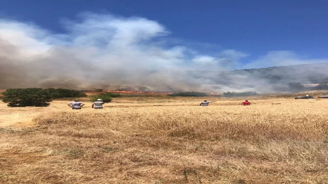 Bursa’da anız yangını ormana sıçradı