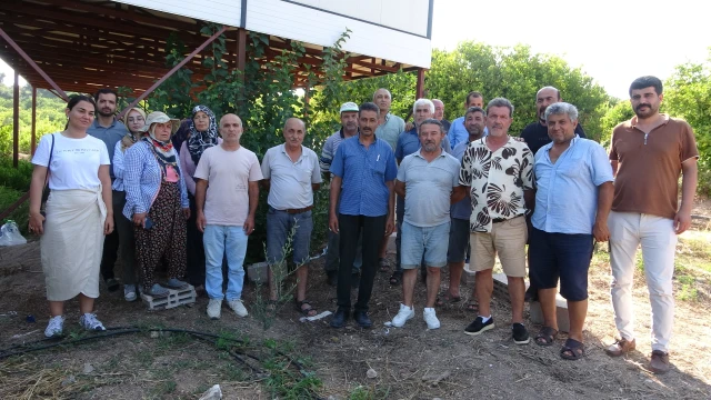 Köylüler organize çetenin hedefi oldu