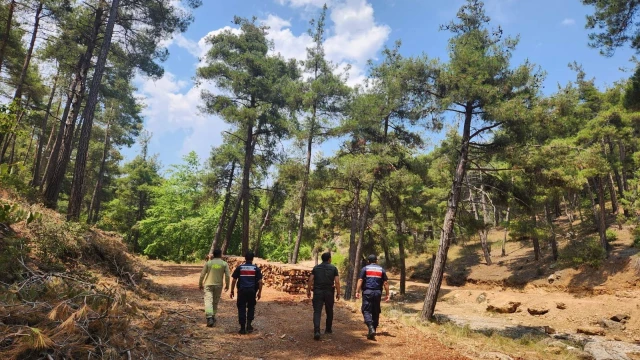  Mersin jandarmasından ormanlara sıkı koruma