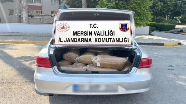 Mersin'de 100 kilo kaçak tütün ele geçirildi
