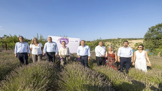 MERSİN'DE  ‘7. LAVANTA HASAT ŞENLİĞİ