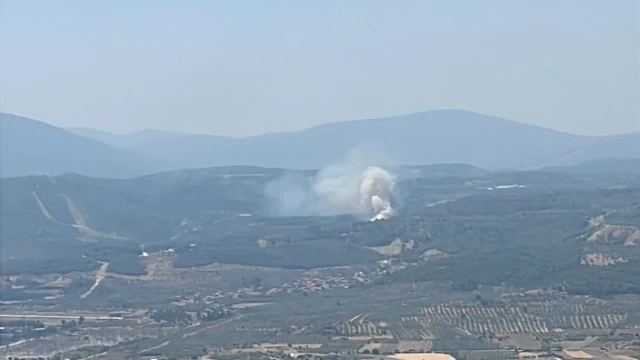 Muğla’da orman yangını