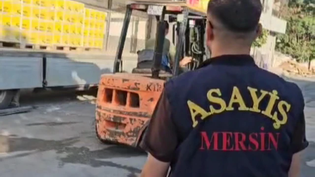Nakliye dolandırıcılarına Mersin polisinden darbe
