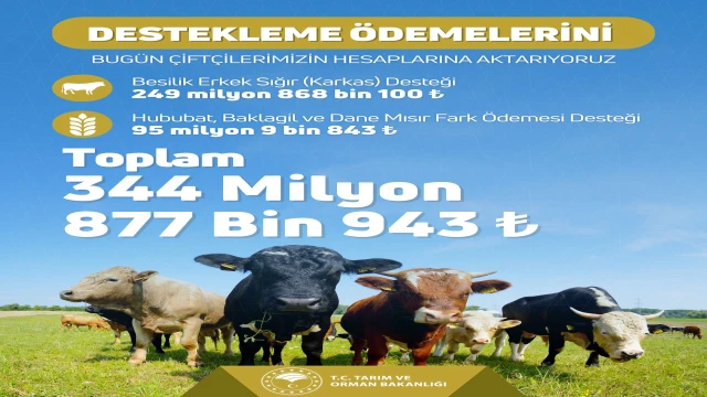 Tarımsal destek ödemeleri bugün hesaplara aktarılıyor