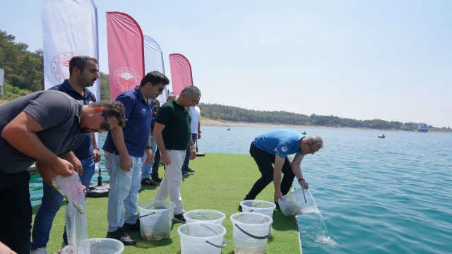Yavru sazanlar göle bırakıldı