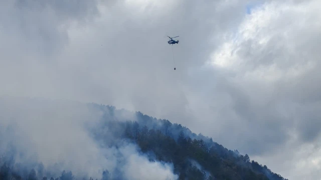 Bolu'da orman yangını