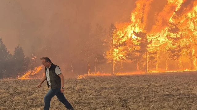 Bolu'da orman yangınına neden olan 1 şüpheli tutuklandı