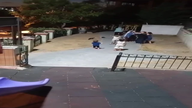 çocuklar arasındaki kavgaya anneler de dahil oldu
