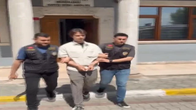 Danla Biliç'i darbeden eski sevgili hakkında 1 yıl 6 aya kadar hapis istemi