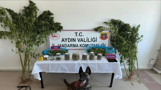 Evinde uyuşturucuyla yakalanıp, tutuklandı