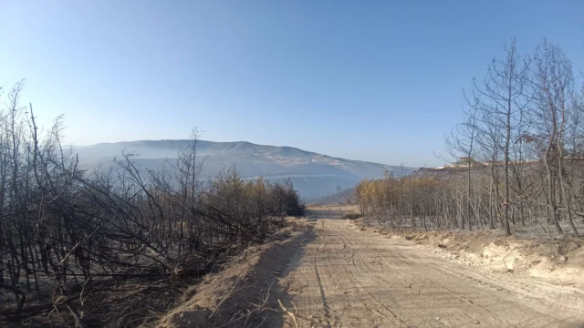 Hatay'daki orman yangını, 16,5 saat sonra kontrol altına alındı