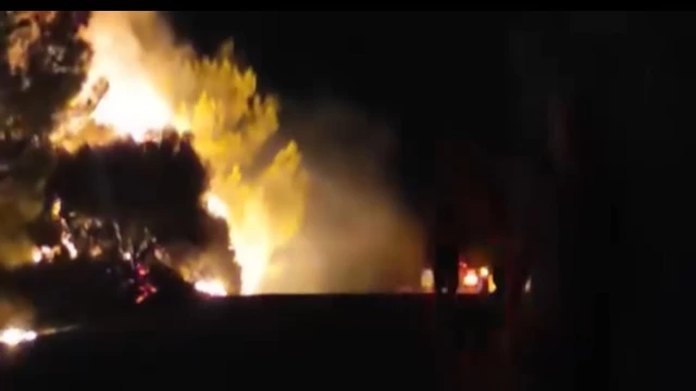 İzmir'de orman yangını