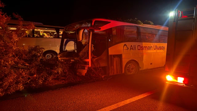 Kayseri'de yolcu otobüsü refüjdeki ağaçlara çarptı: 1 ölü, 13 yaralı