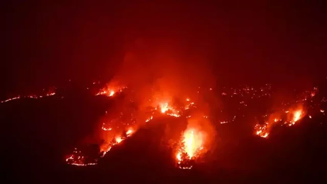 Mersin'de 3 ayrı noktada orman yangını
