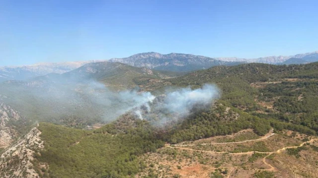 Mersin'de orman yangını