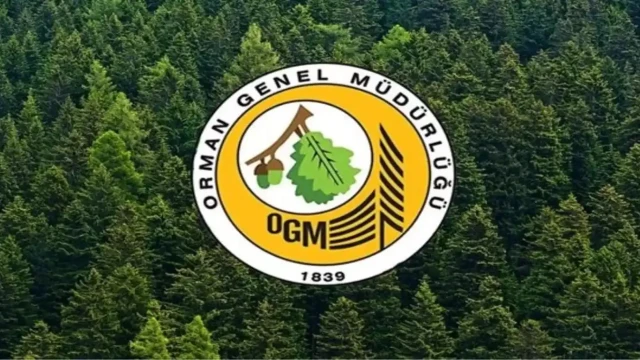 OGM: Yangınların çoğu ihmal ve dikkatsizlikten kaynaklandı