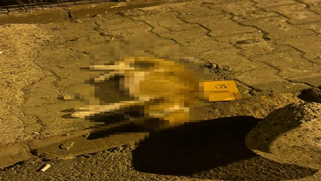 Sancaktepe’de alacak verecek kavgasında kurşunlar ev ve araçlara isabet etti; kedi öldü