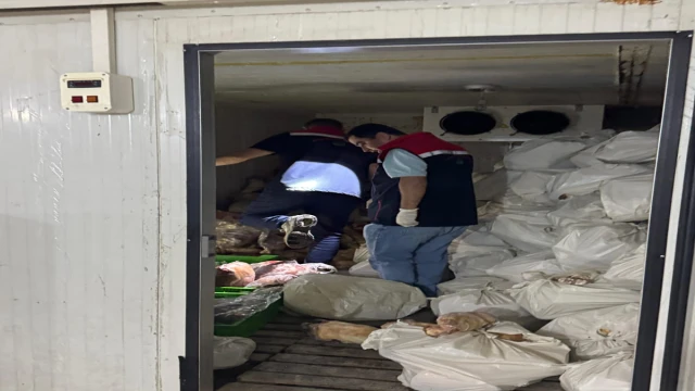 Şırnak'ta 3 ton kaçak et ele geçirildi