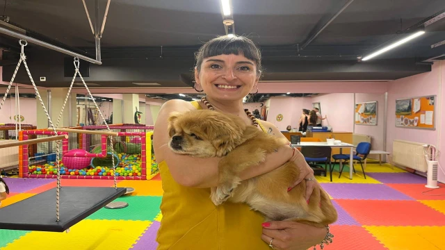 Sokağa atılan görme engelli köpek ‘Yoshi’ye yeni yuva