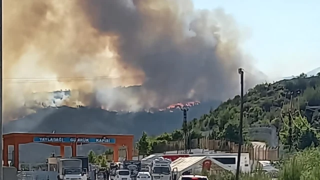 Suriye'de sınıra yakın bölgede çıkan orman yangını Türkiye'ye sıçradı
